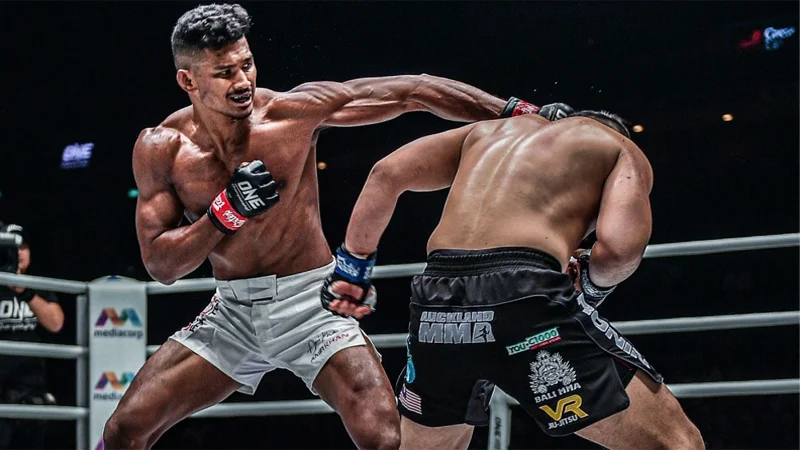 Nghiên cứu kỹ càng kèo trong cược MMA